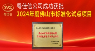 粵佳信礦物質(zhì)絕緣電纜項目列入2024年度佛山市標(biāo)準(zhǔn)化試點(diǎn)