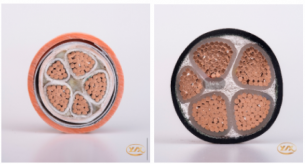 【禪誠電纜】電線電纜3+2芯和4+1芯有什么區(qū)別呢？