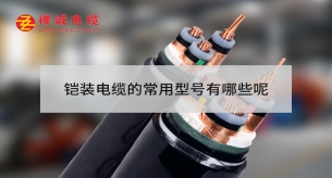 鎧裝電纜的常用型號有哪些呢
