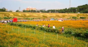 專業(yè)電纜生產(chǎn)廠家禪誠電纜為佛山七彩花田供貨