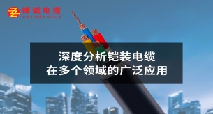 深度分析鎧裝電纜在多個領(lǐng)域的廣泛應(yīng)用