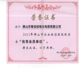 優(yōu)秀會(huì)員單位