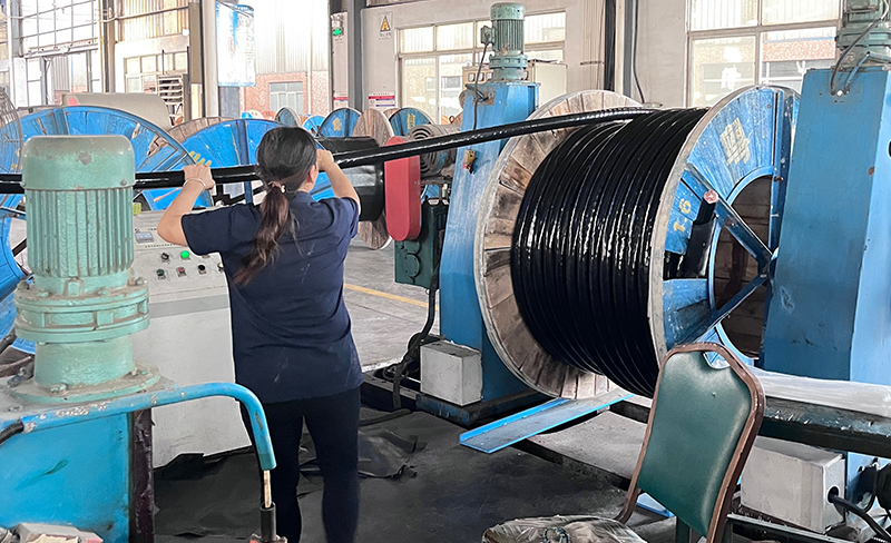 禪誠電纜 禪誠電纜