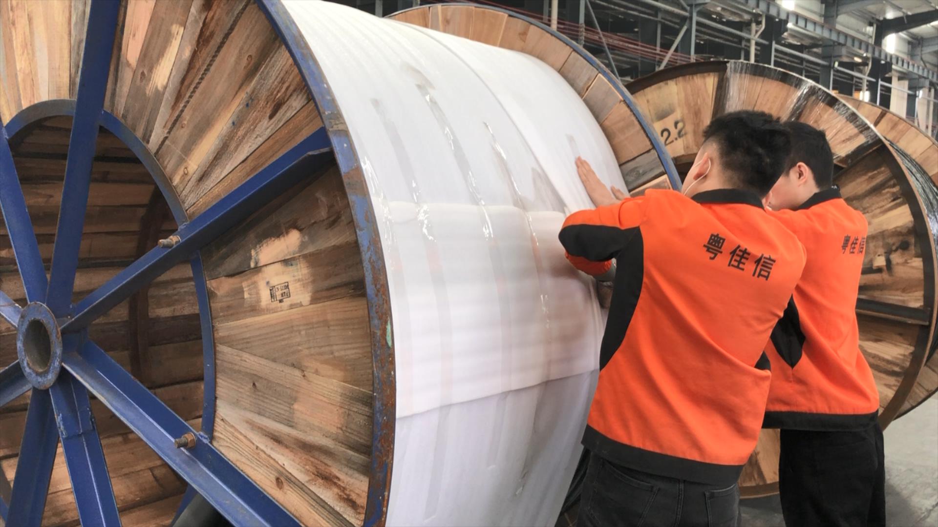 微信圖片_20241223164016 微信圖片_20241223164016