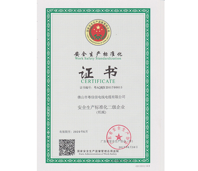 安全生產(chǎn)標(biāo)準(zhǔn)化二級企業(yè)證書
