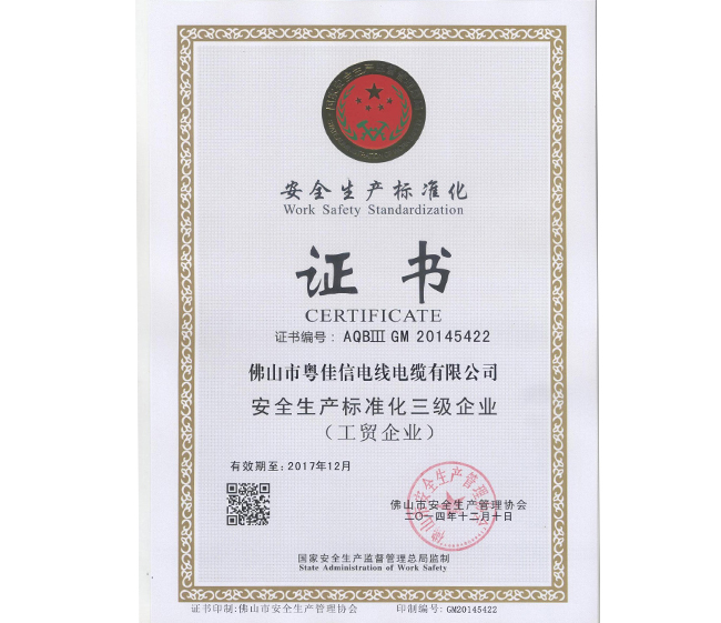 安全生產(chǎn)標(biāo)準(zhǔn)化三級企業(yè)證書
