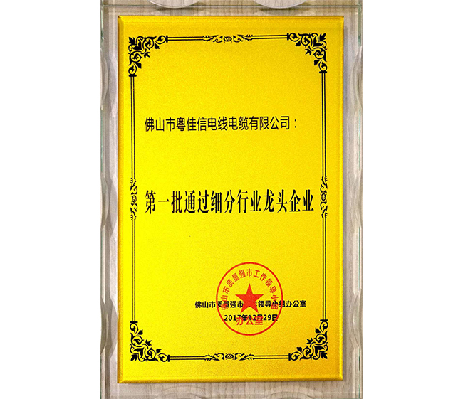 第一批通過細(xì)分行業(yè)龍頭企業(yè)